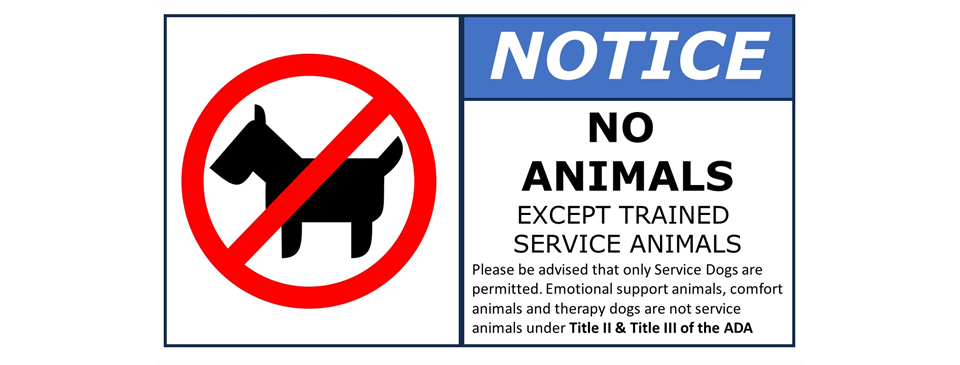 No Animals Allowed at the Fields